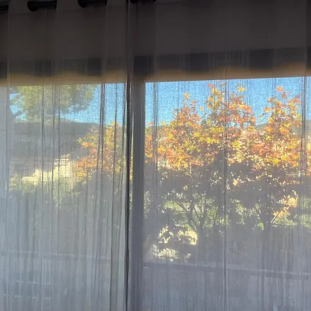 Lemon Tree Habitación en casa particular