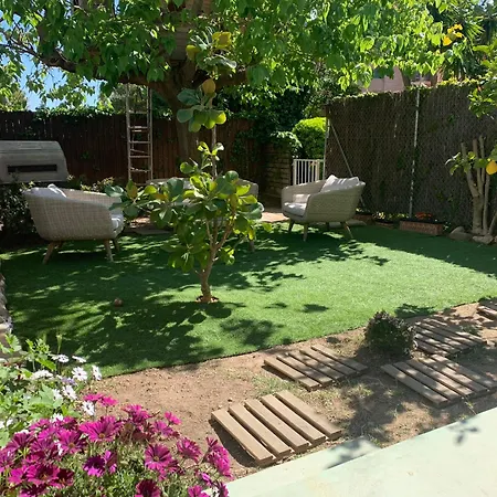 Homestay Lemon Tree