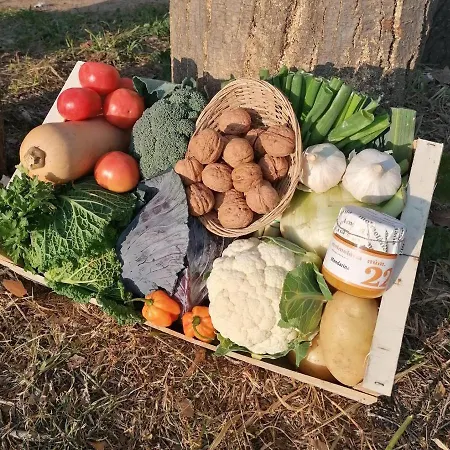 Lemon Tree منزل للإقامة Tiana